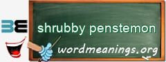 WordMeaning blackboard for shrubby penstemon